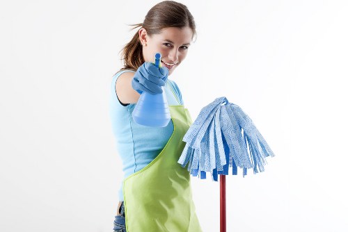 Professional carpet cleaning service in Hounslow introducing the company