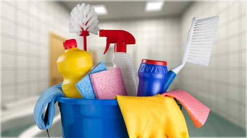 Professional stain removal for carpets in Hounslow homes