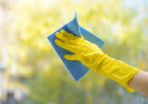 Cleaning professional preparing carpet cleaning equipment