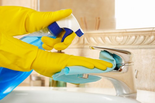 Cleaning oven racks and trays during a Hounslow kitchen deep clean