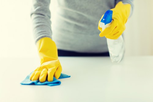 Technician inspecting a carpet before cleaning