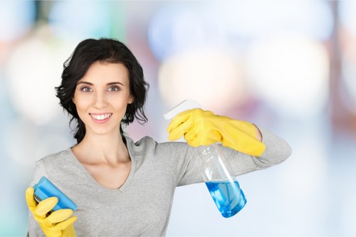 Targeted stain removal service for local carpets and fabrics