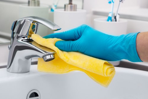 Final review of carpet cleaning health and safety procedures