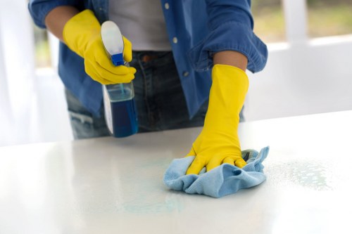 Professional carpet cleaner in Hounslow working with protective measures