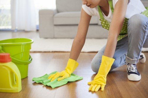 Cleaner treating stains on a carpet in a Hounslow residence